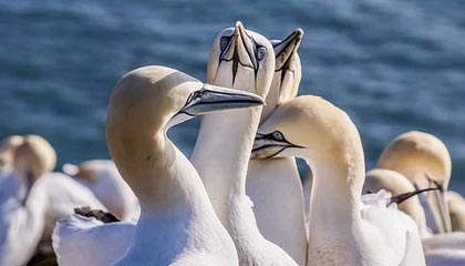 AYX官网-梅西率队轻松取胜，巴萨升至积分榜第三，梅西巴萨数据统计