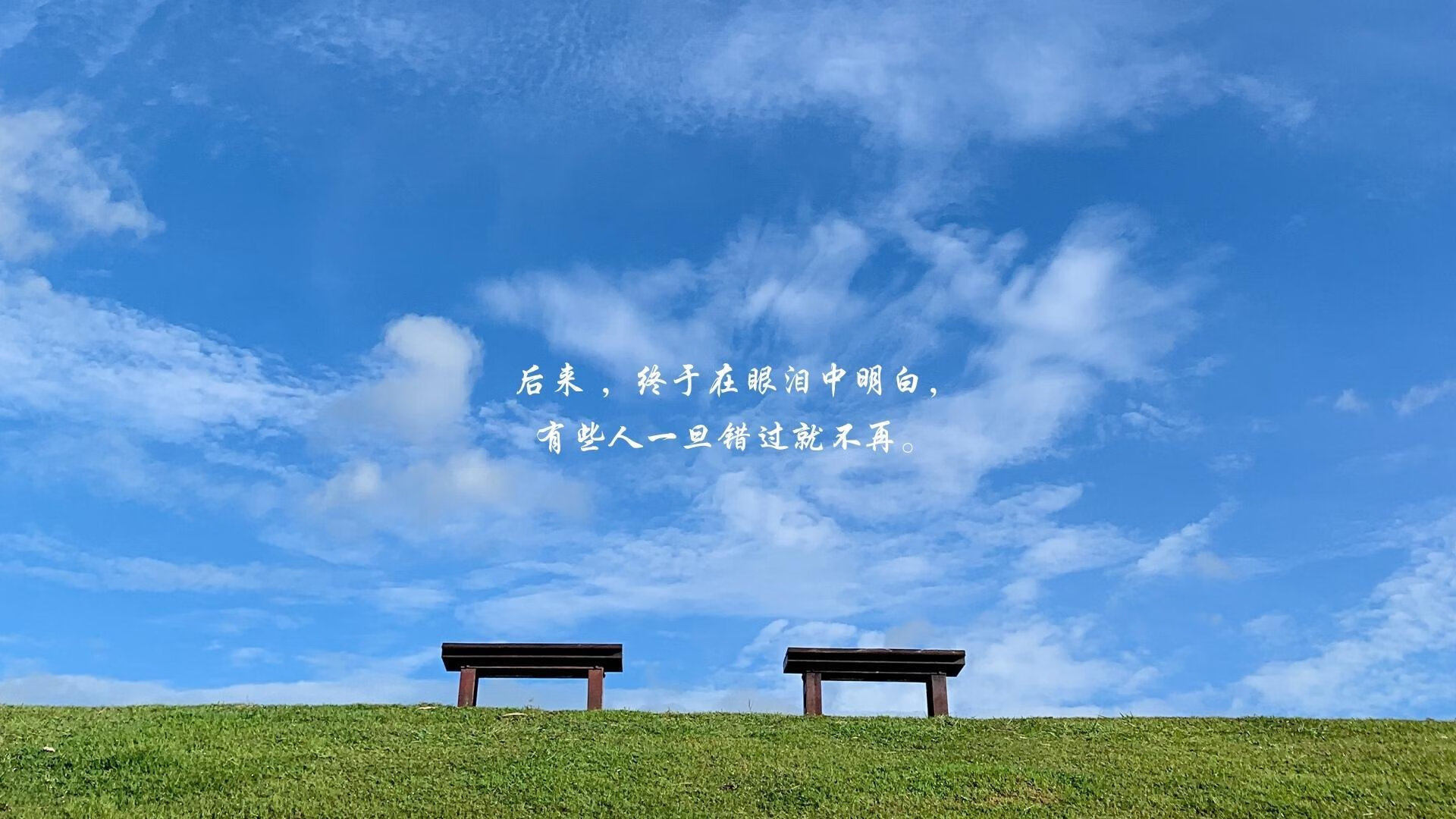 霍芬海姆士气高涨，实现团队壮举，霍芬海姆队徽图片