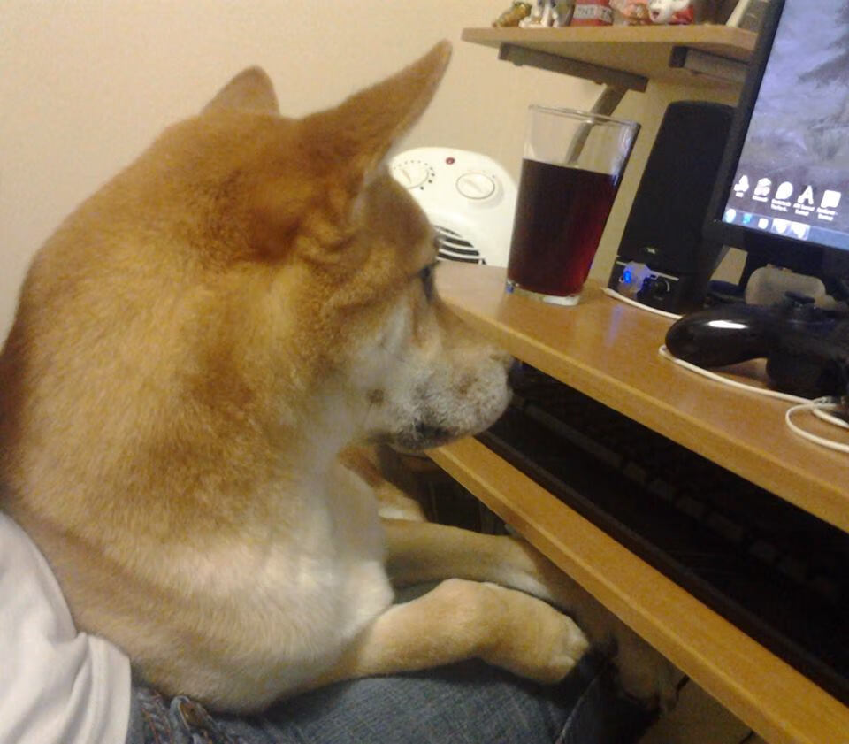 马赛新援首秀献绝杀，帮助球队取得胜利，马赛首发