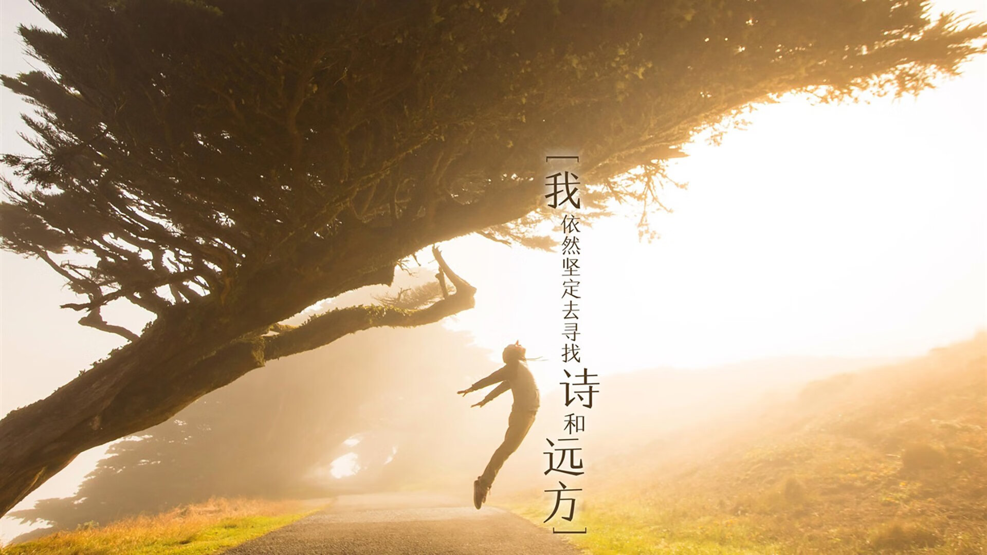 体育赛事志愿者激励机制探究，体育赛事志愿者工作安排方案