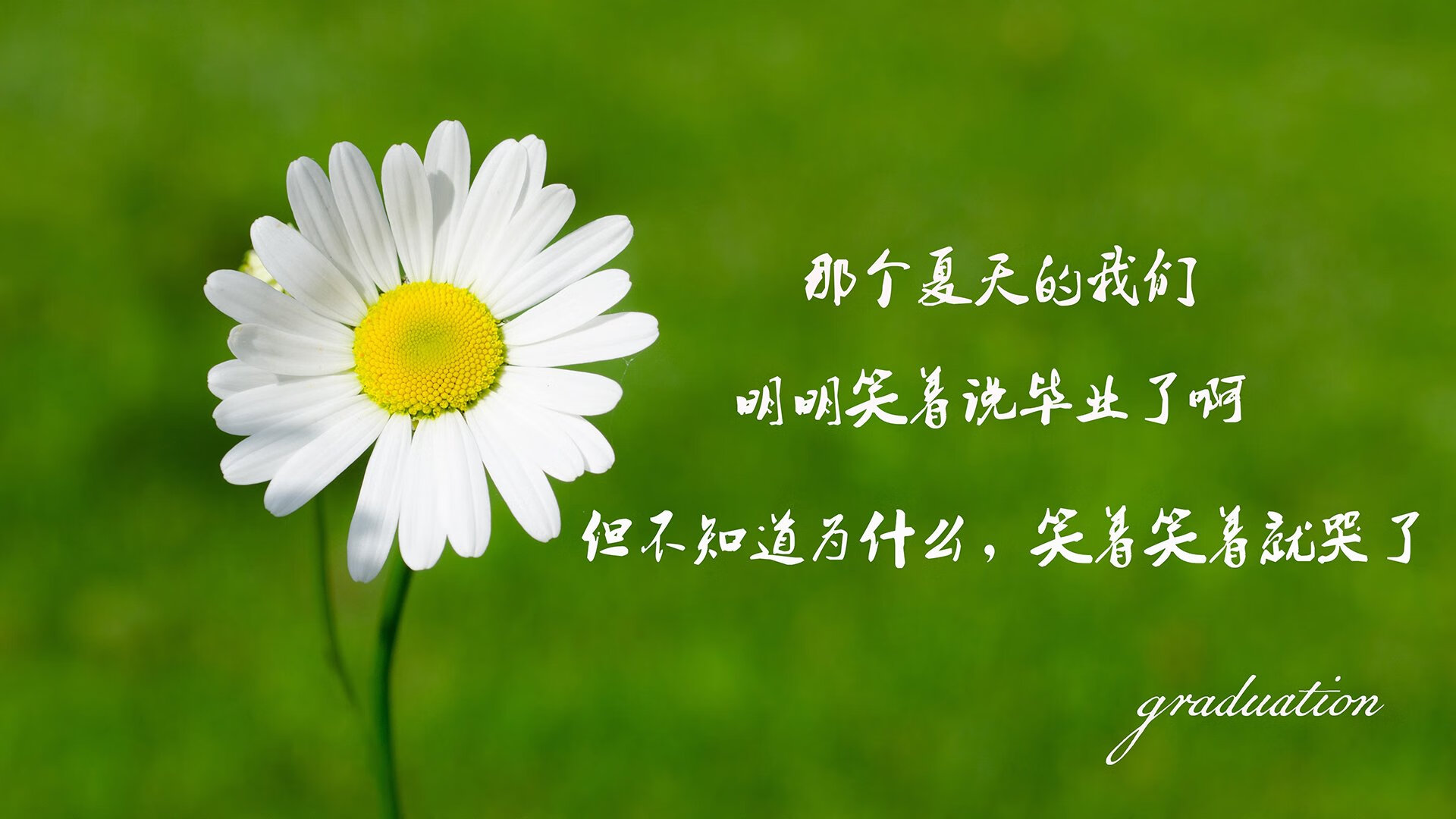 中国女篮攻防两端表现突出，中国女篮攻防两端表现突出