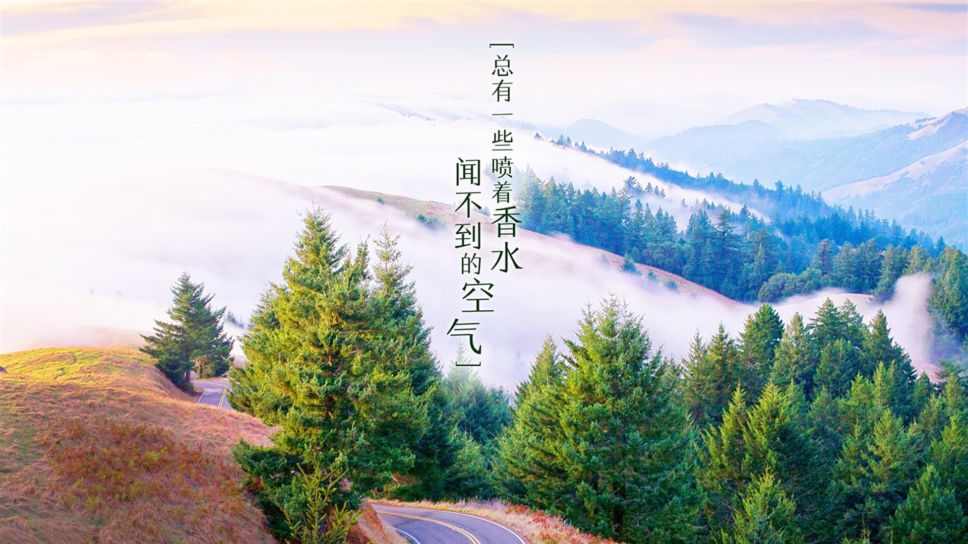 湖滨赛事启幕，兴隆湖成全民焦点，英菲尼迪换防冻液