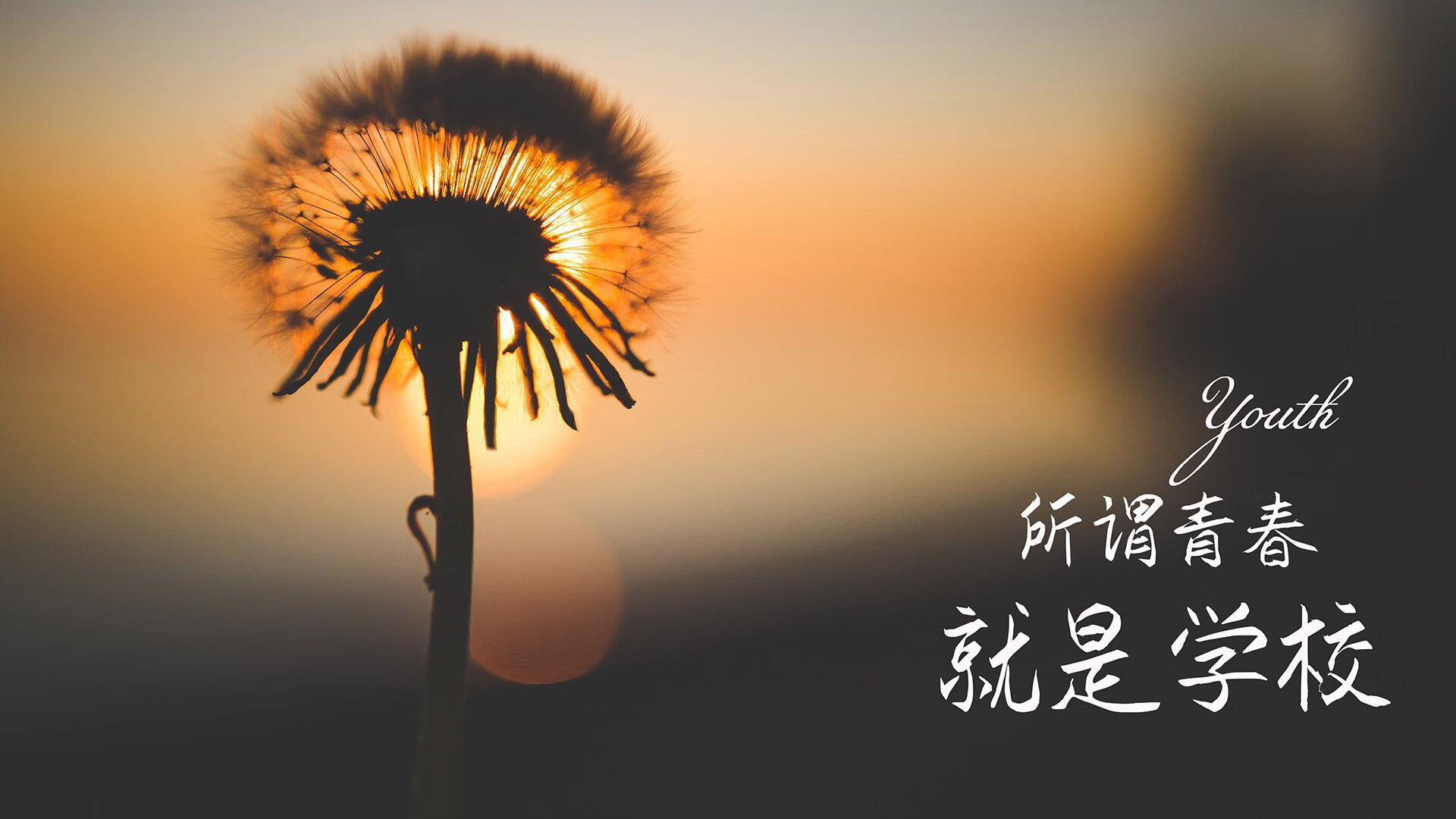 职业联赛中本土球员成长受阻，职业联赛选手