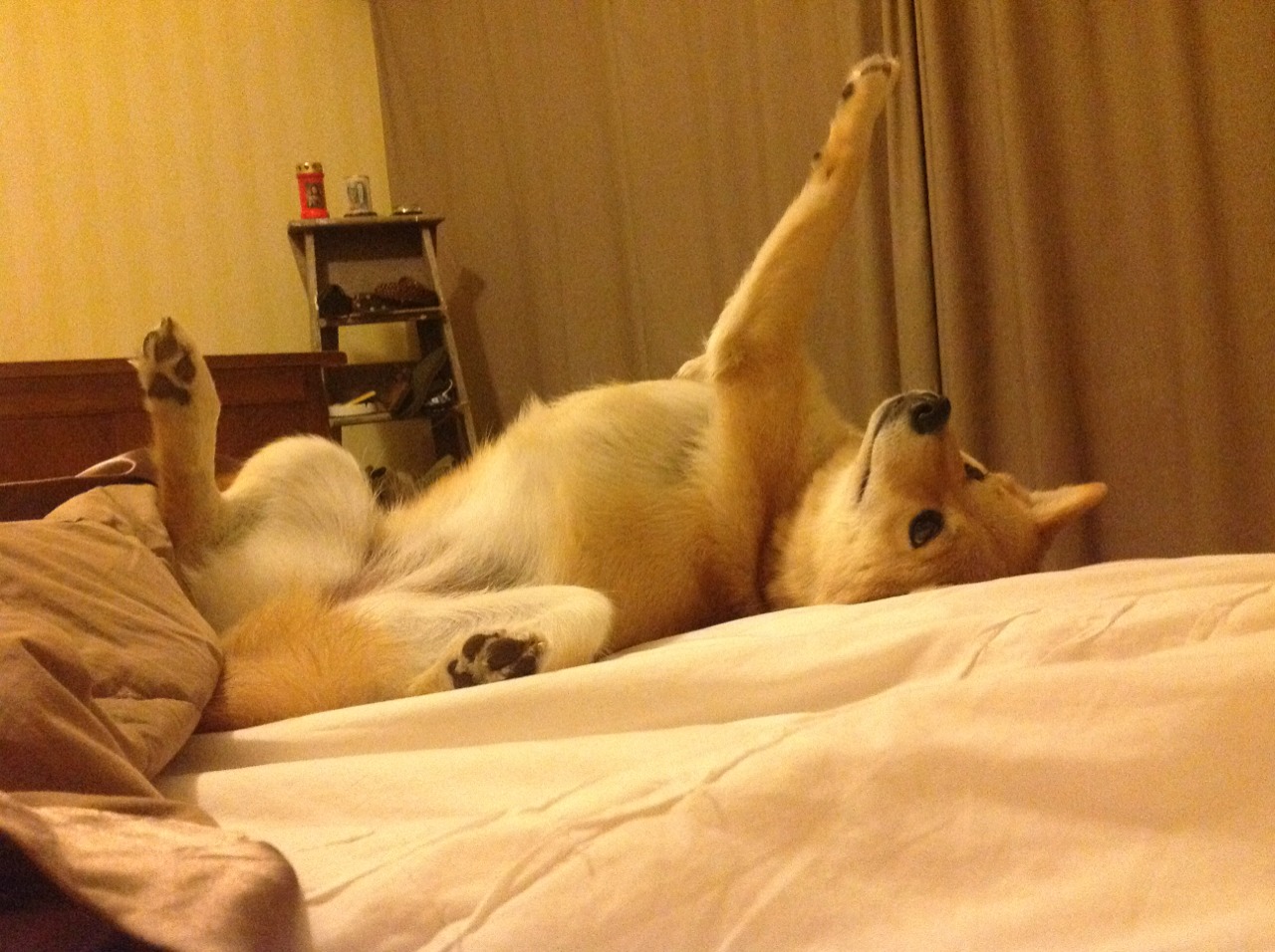 赛前动员强调必须保持饥饿感面对强敌不能有丝毫松懈，赛前动员大会发讲话