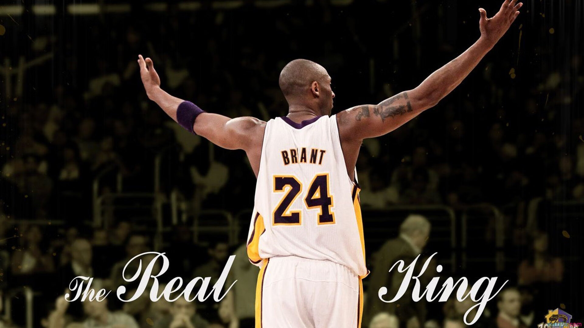 “战术布置”——教你看懂车队的战略布局，车队组织架构